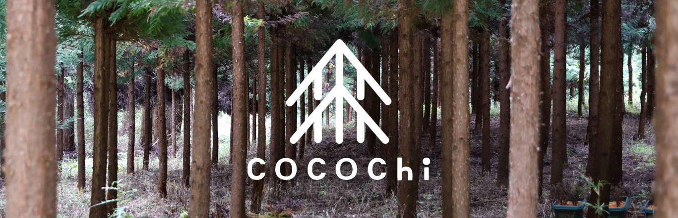 cocochi